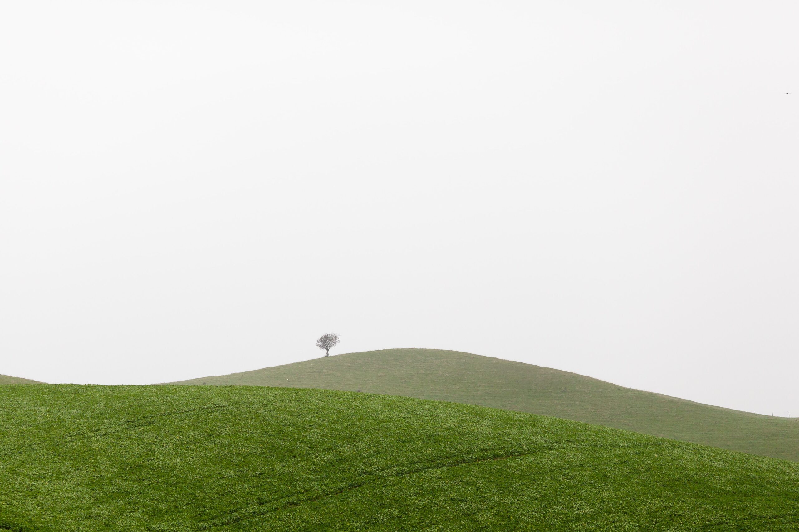 jon-flobrant-4Xb9AqocdCc-unsplash jon-flobrant-4Xb9AqocdCc-unsplash