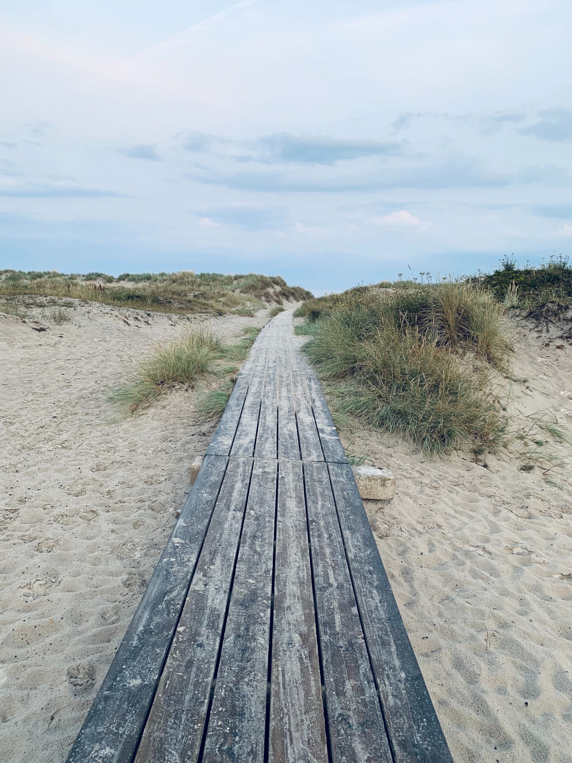 marcin-dziedzic-yqmf9VGYQzs-unsplash marcin-dziedzic-yqmf9VGYQzs-unsplash